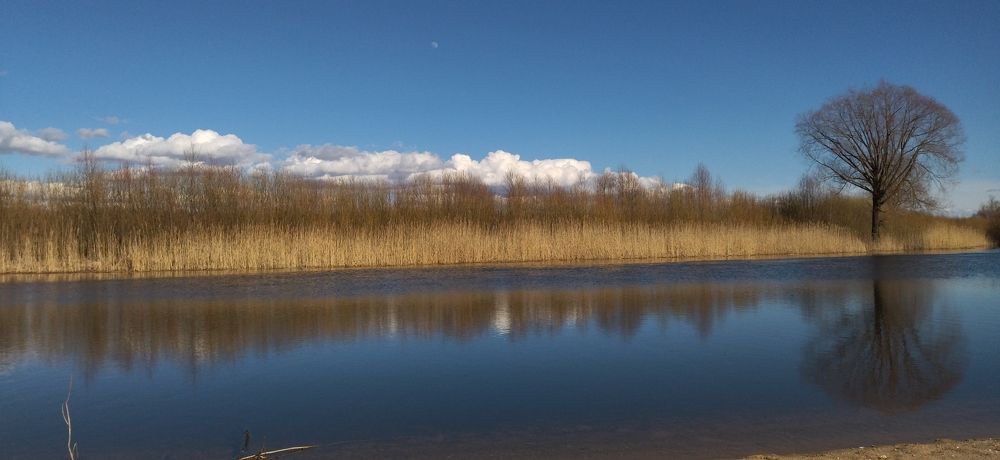 у погода тишина