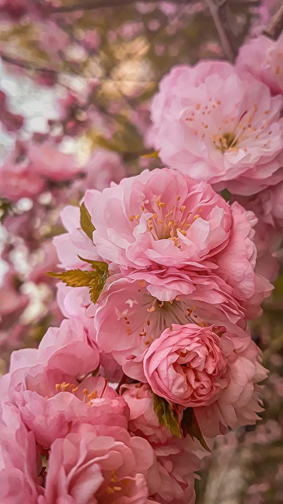 Photograph by Елена Власова