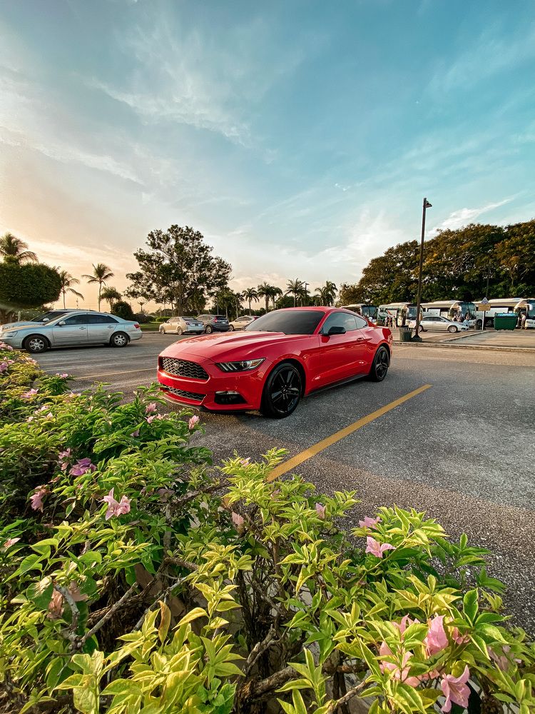 Photograph by Юлия Дударева