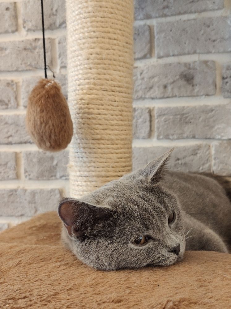 Photograph by Svetlana Stenkina