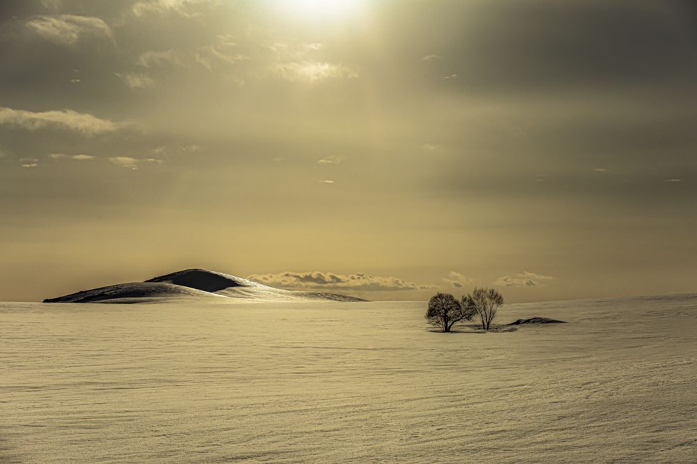 Photograph by aliasadi