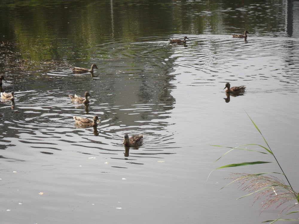 Photograph by Наталия