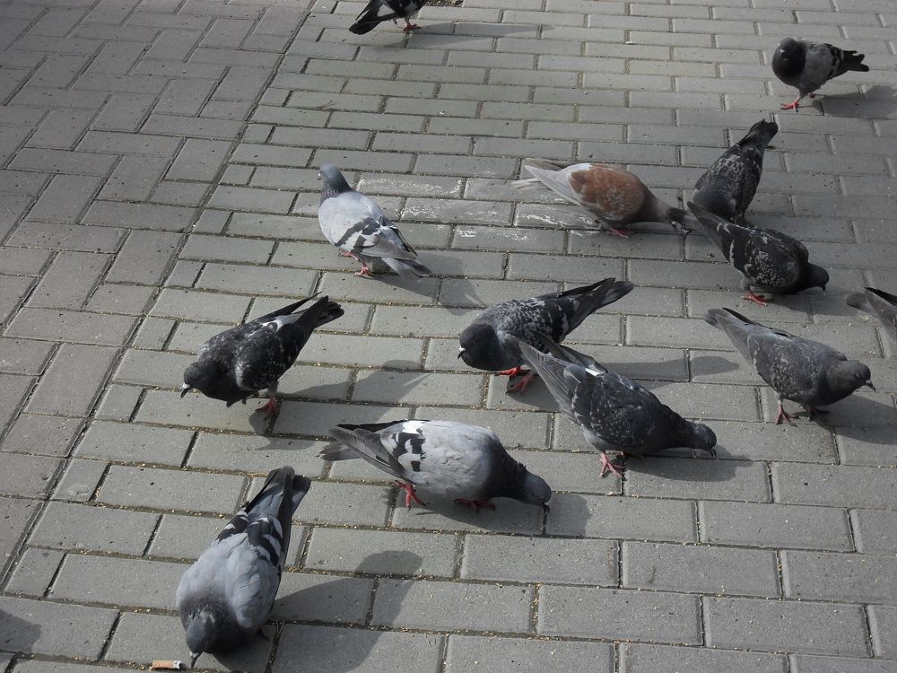 Photograph by Наталия