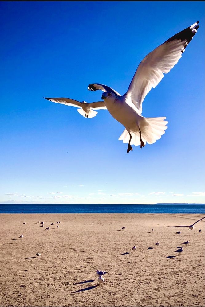 Фотография автора Ираида Гайфуллина