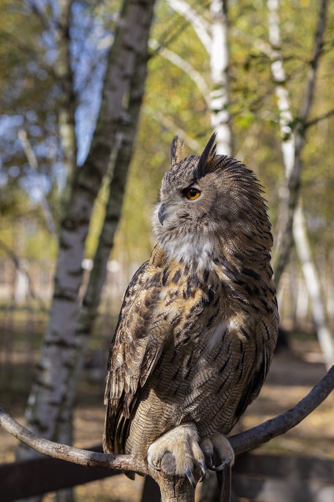 Photograph by Svetlana Karnauh Карнаух