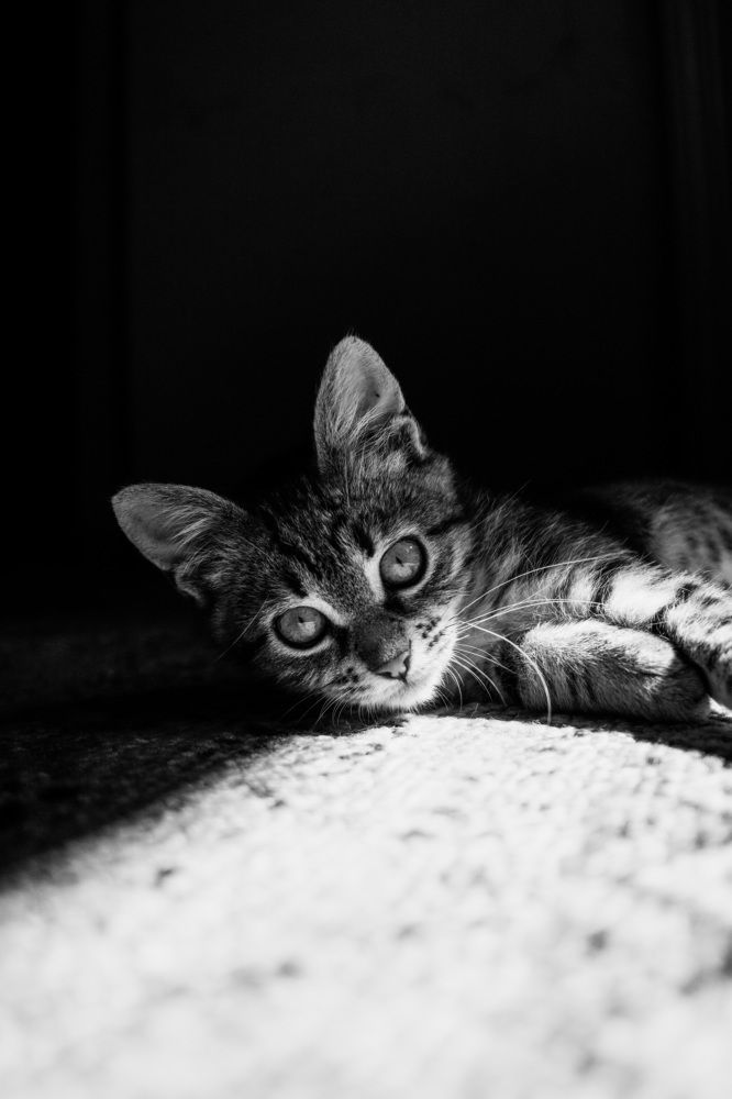 Photograph by Анна Изюмская