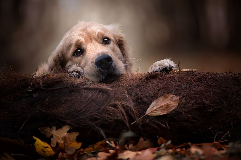 Photograph by Marcella Miriello