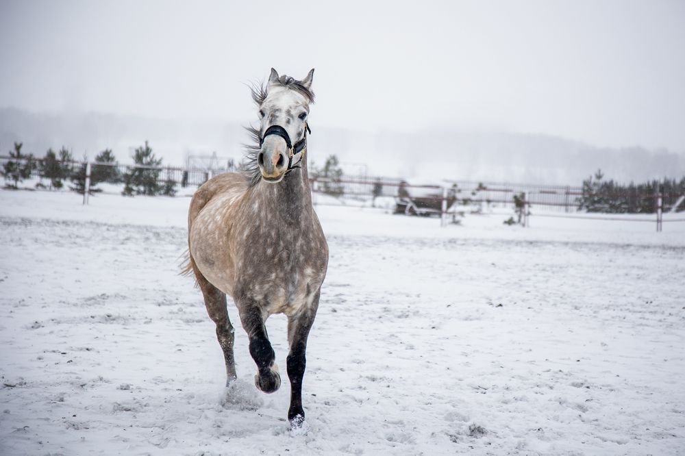 Фотография автора Сергей Князев
