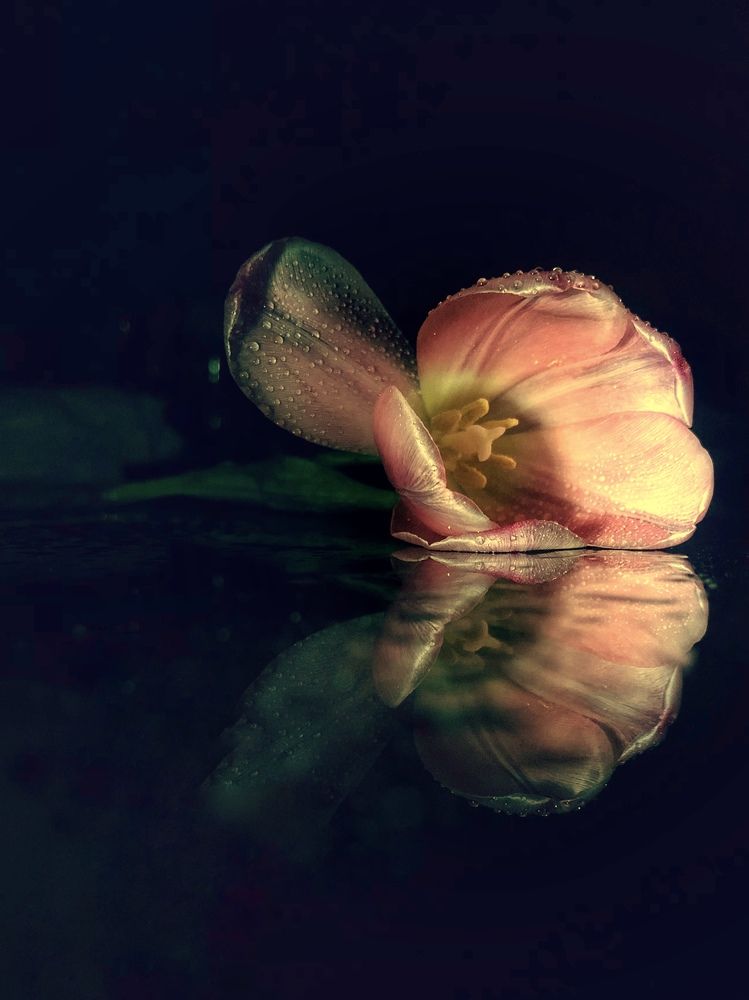 Photograph by Светлана Дмитриева