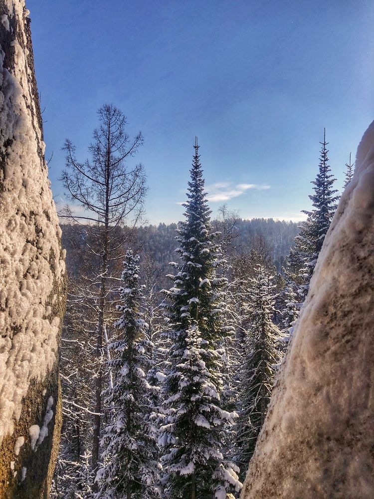 Photograph by Светлана Дмитриева