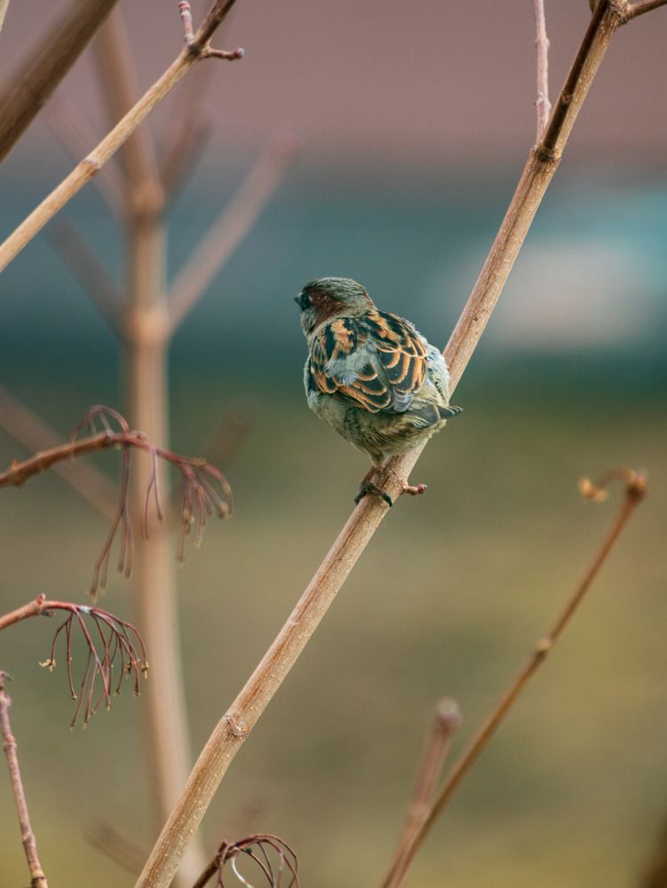 Photograph by Зульфия Курманова