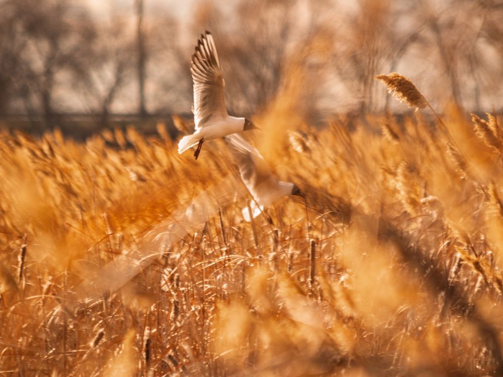 Photograph by Зульфия Курманова