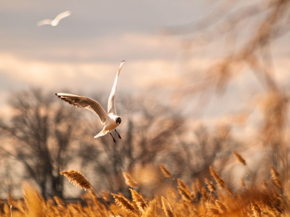 Photograph by Зульфия Курманова