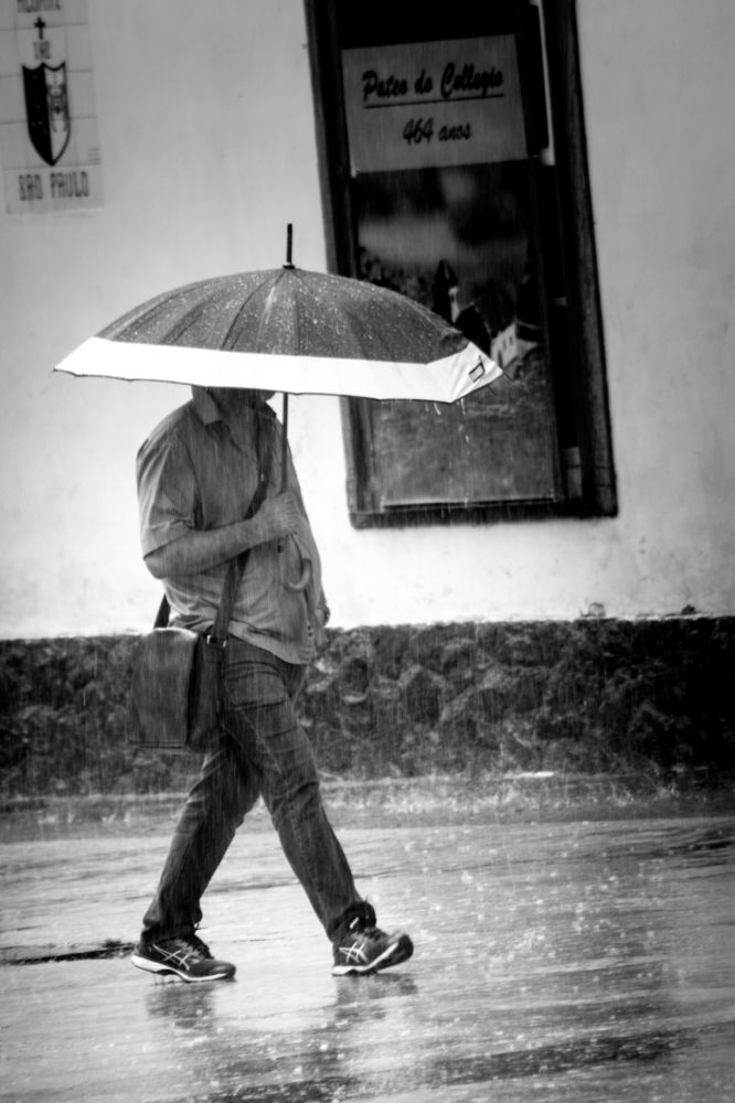 Фотография автора Gabriel de Araujo Almeida