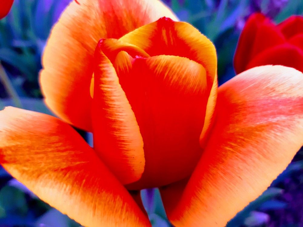 Photograph by Дмитрий Шумский