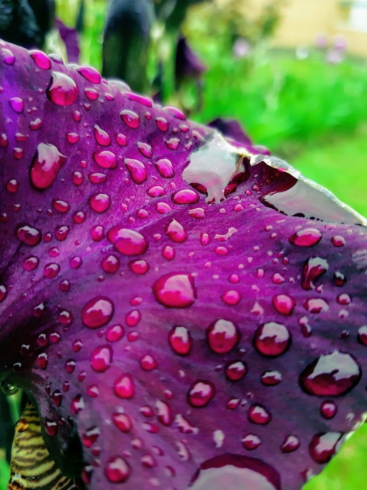 Photograph by Дмитрий Шумский