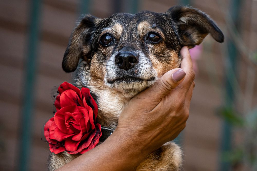 Photograph by Jason Lisher