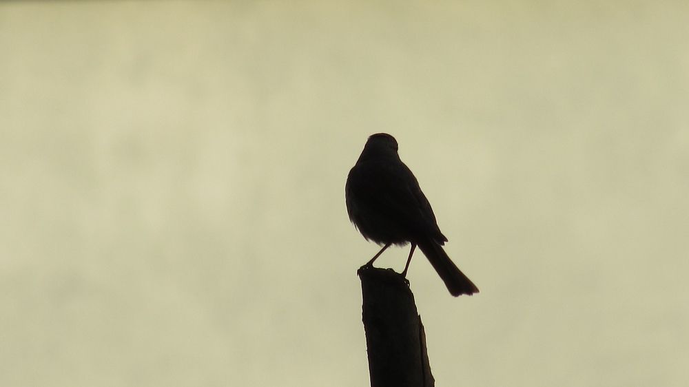 Photograph by Мария Глухова