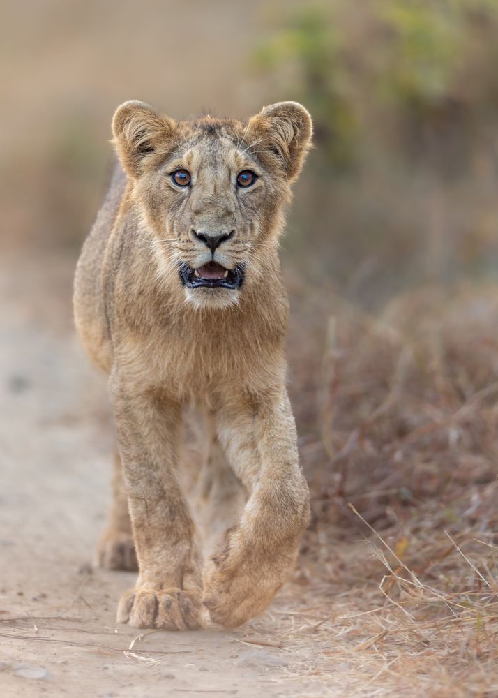 Photograph by Pinkesh Tanna