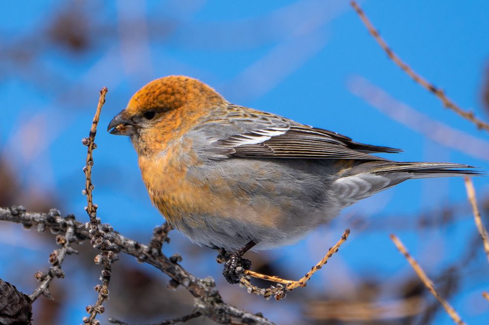Фотография автора Виктория Ким