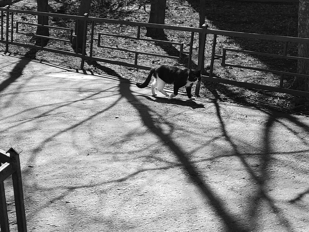 Photograph by Татьяна Аршинова