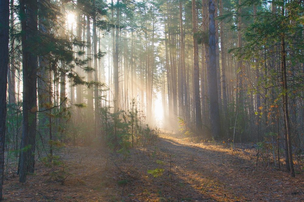 Photograph by Василий Быстрицкий