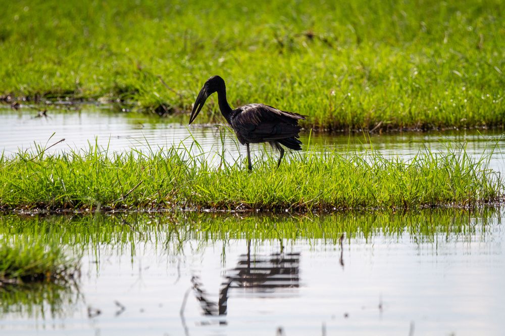 Photograph by Sergey