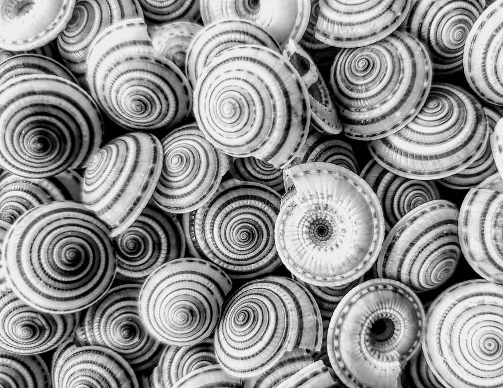 Photograph by Kenric Adam