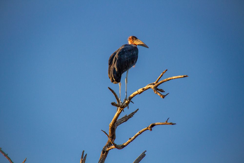 Photograph by Sergey