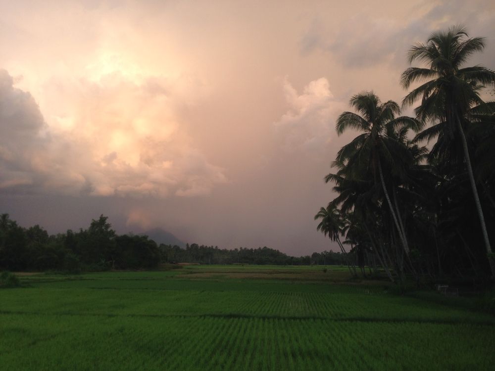 Red Sky Cloudy Over My Land