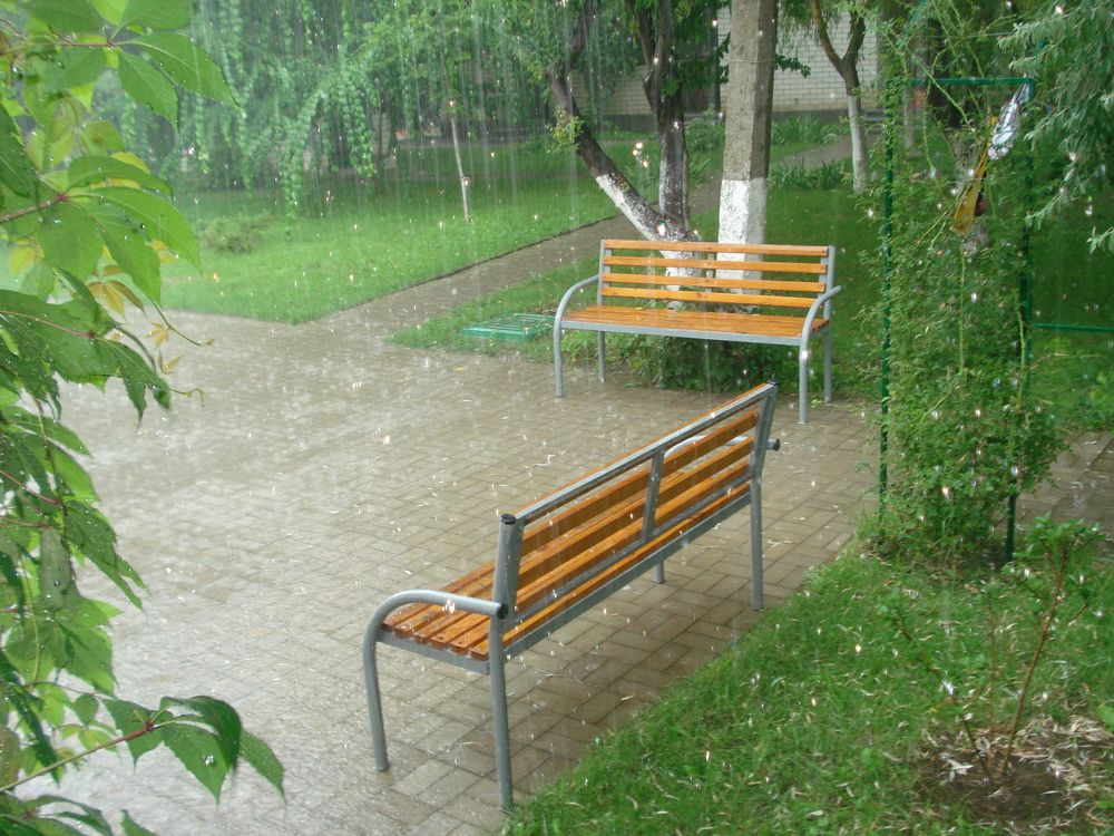 Фотография автора Елена Пикатова