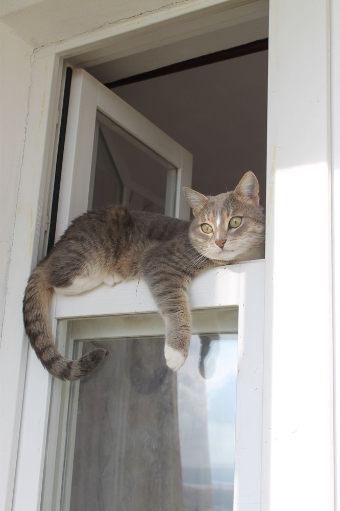 Photograph by Екатерина Хозяшева