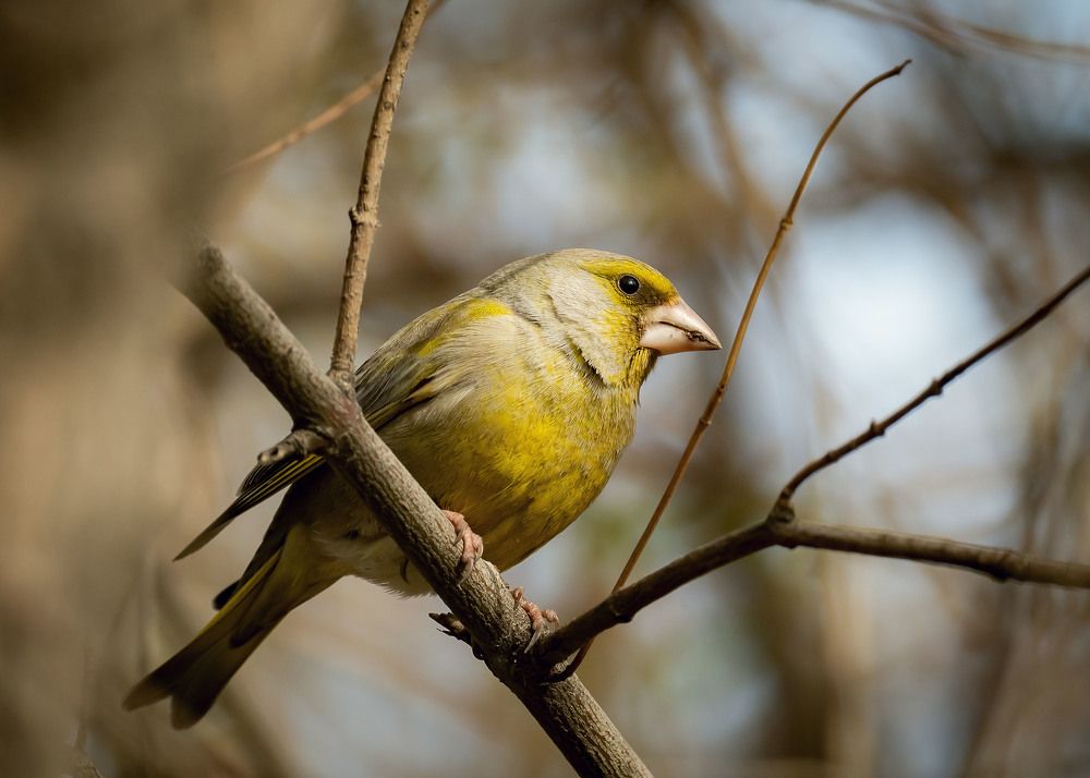 Фотография автора Myrzabek Ozubekov