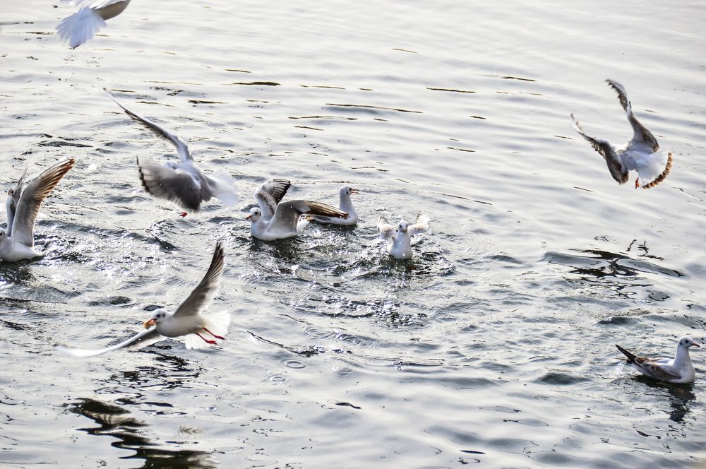 Photograph by Дарья Беляк