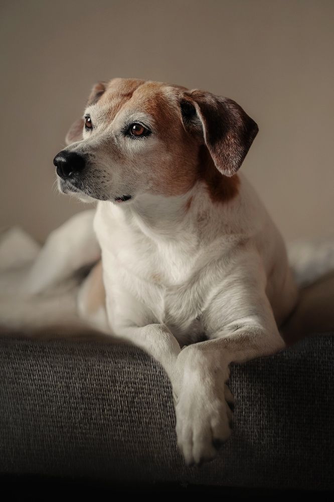 Photograph by Юлия Макаренко