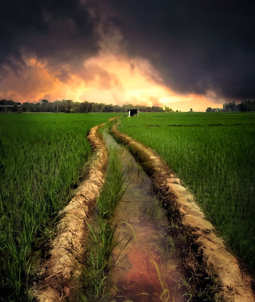 After storm colours