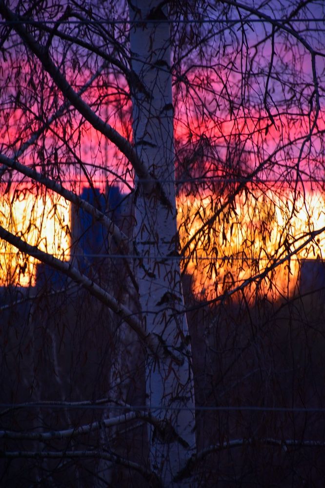 Photograph by Анастасия Тырыкина