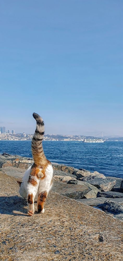 Photograph by Владислав Данилов