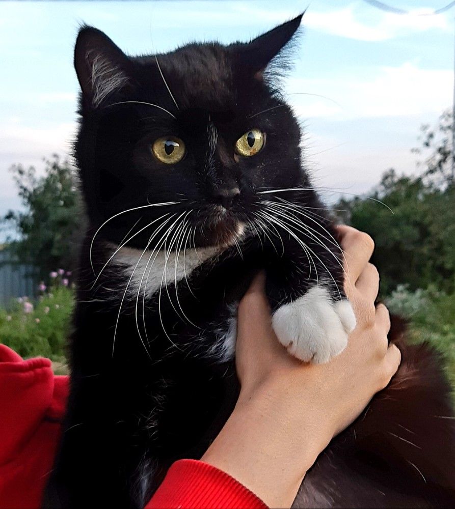 Фотография автора Ирина Лукьянчик