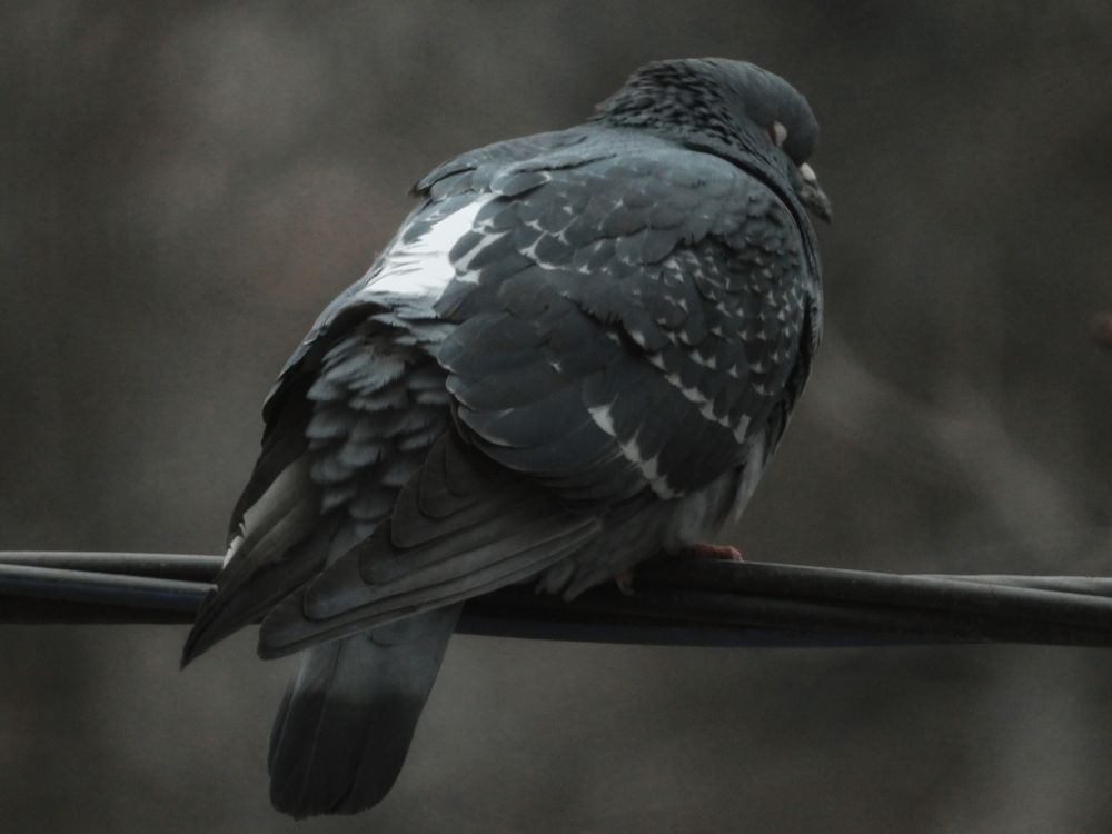 Photograph by Владислав Данилов