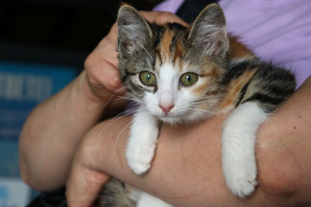 Photograph by Надежда Зайцева