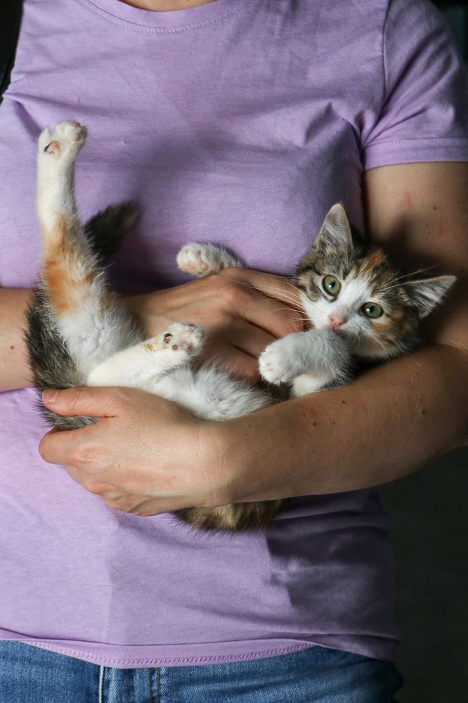 Photograph by Надежда Зайцева