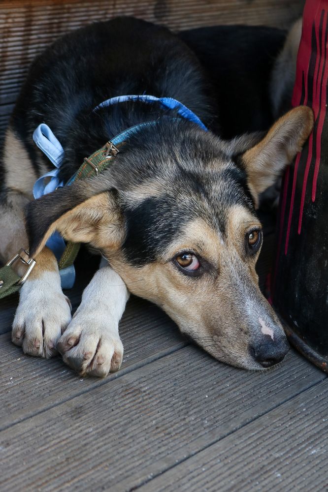 Photograph by Надежда Зайцева