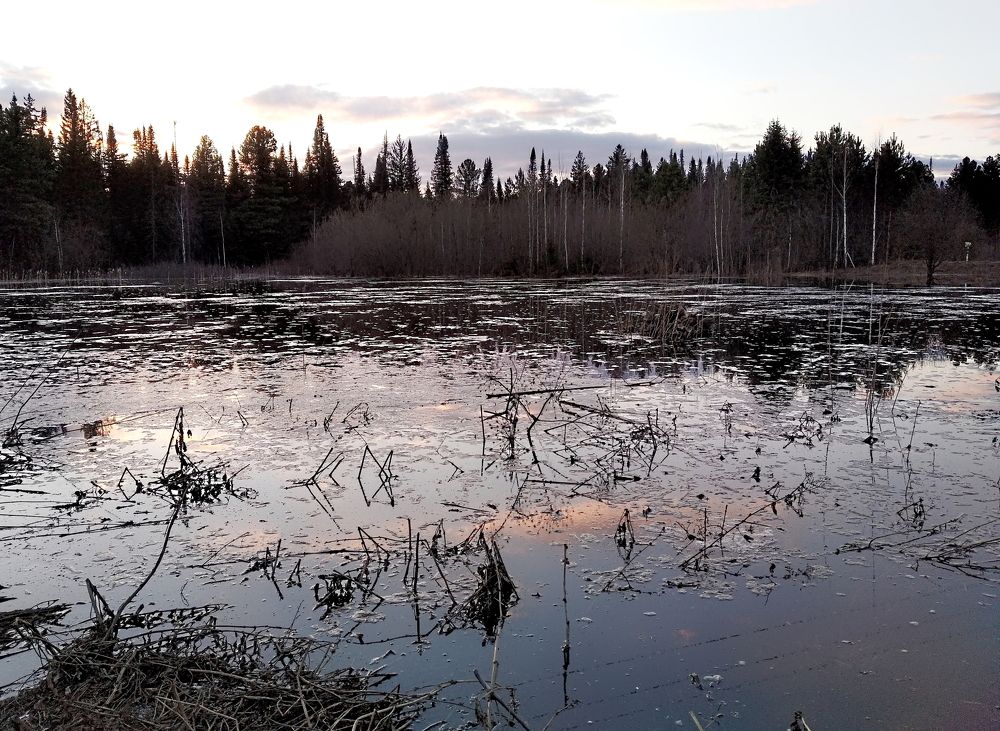 Photograph by Анатолий Майдуров