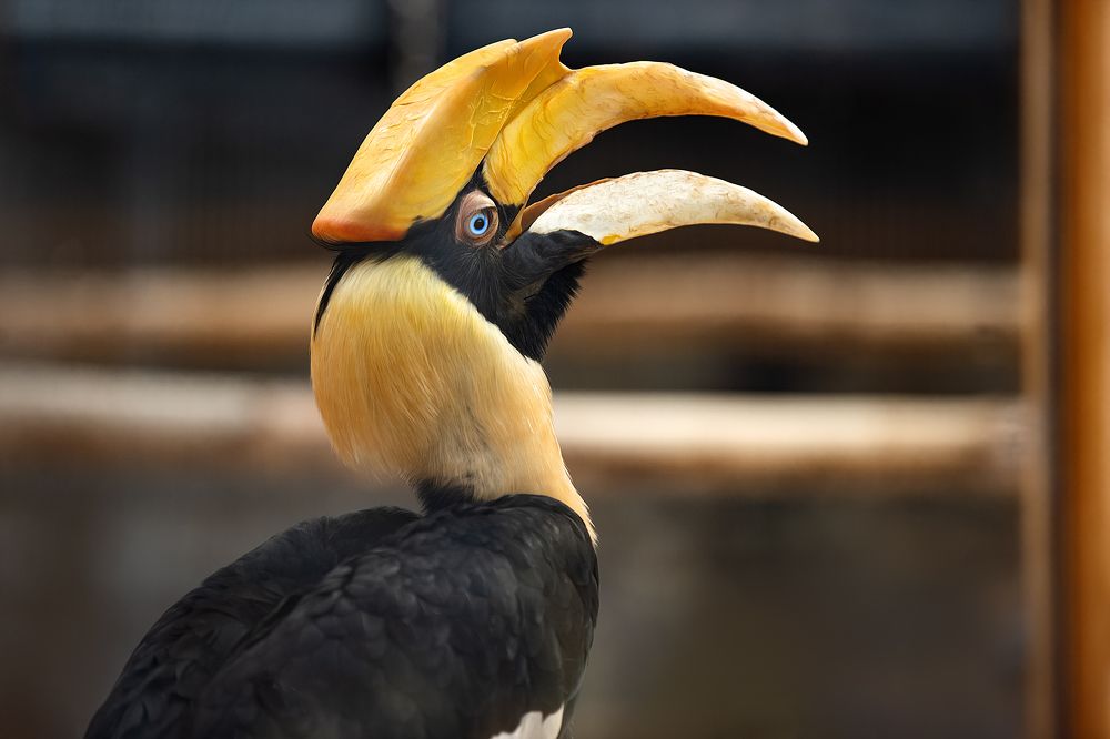 Photograph by Светлана Писарева