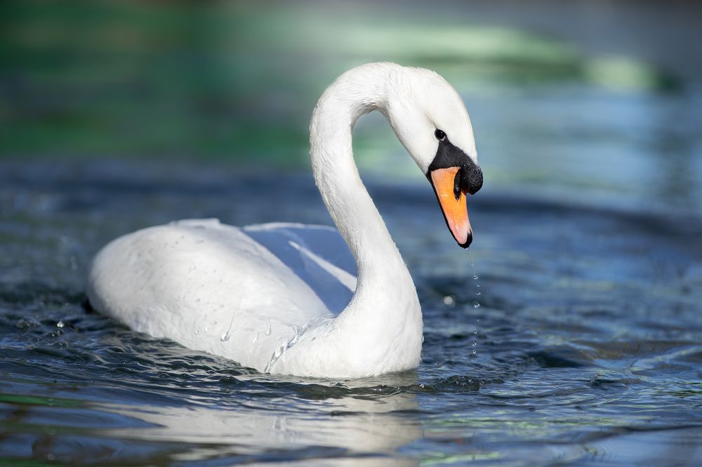 Photograph by Светлана Писарева