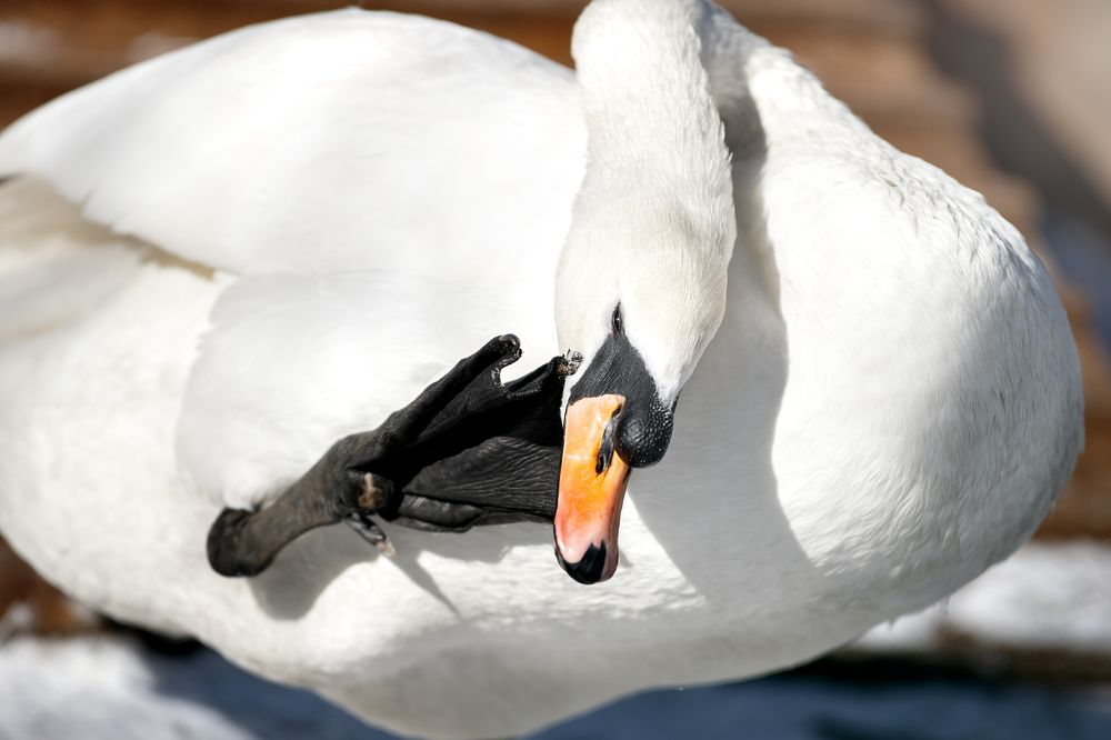 Photograph by Светлана Писарева