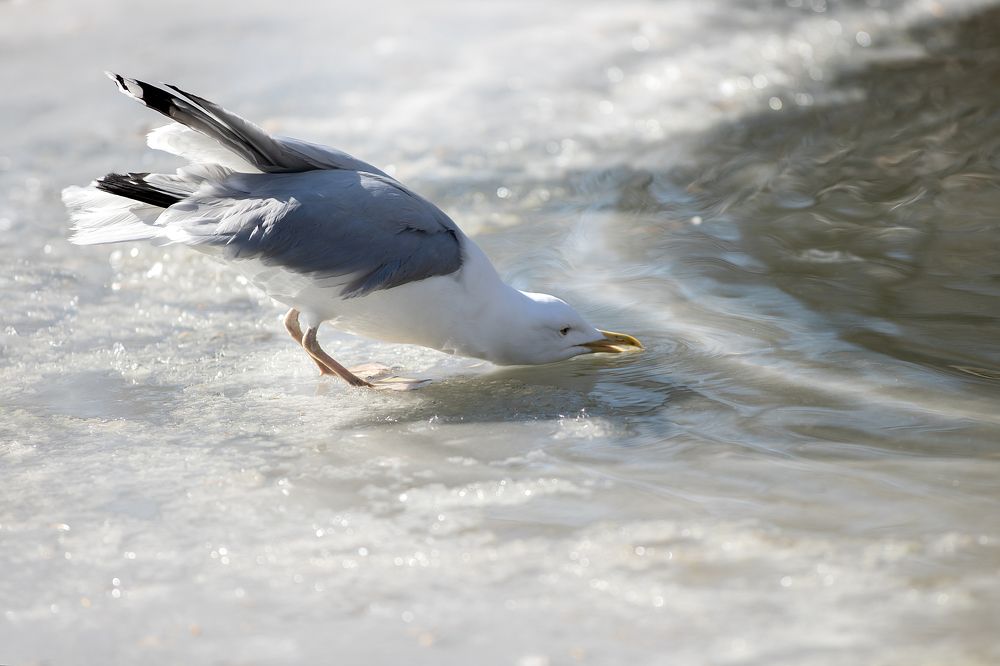 Photograph by Светлана Писарева