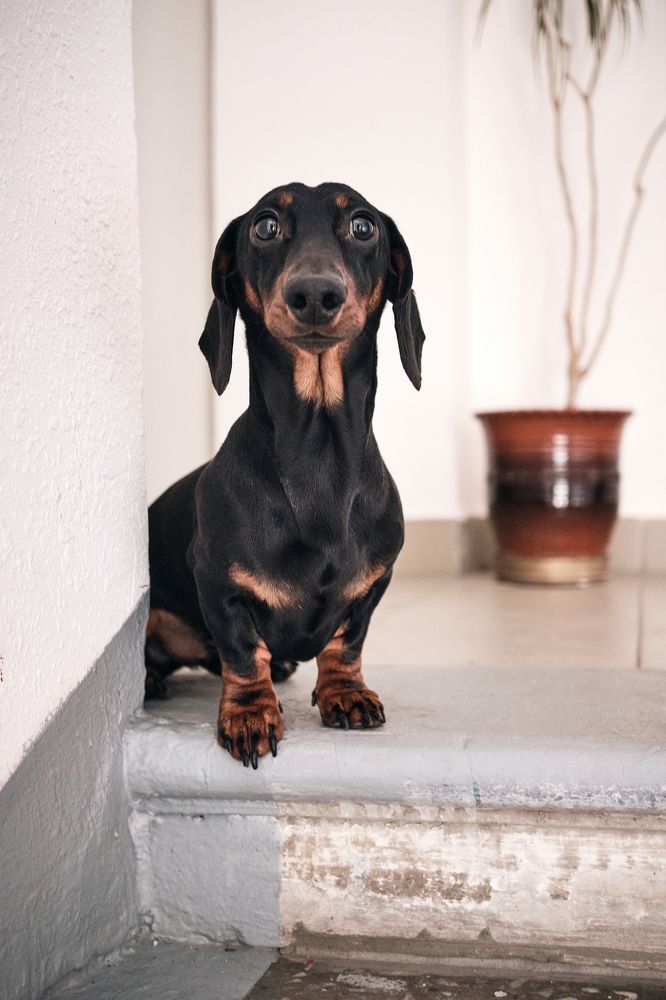 Фотография автора Владимир Эделев