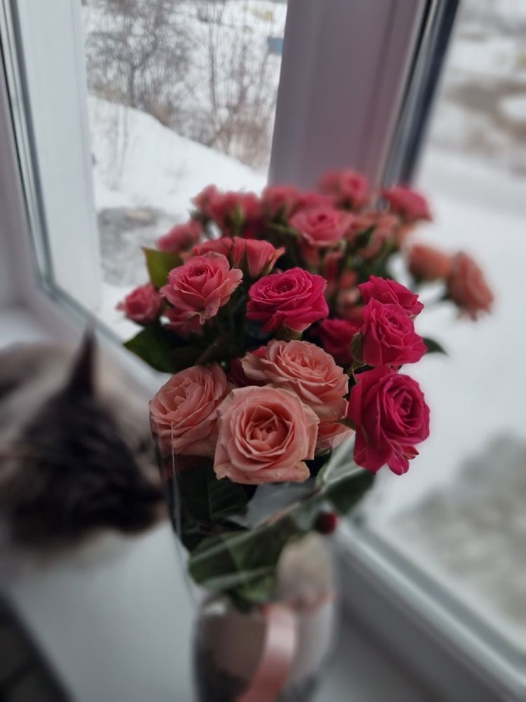 Photograph by Светлана Антипова